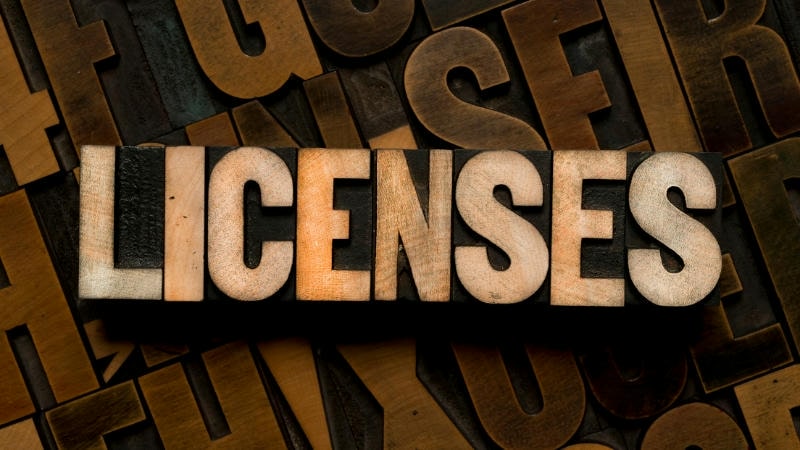 Why game licenses are crucial for player rights